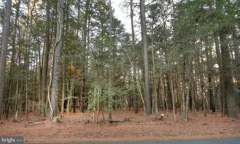 lot827 Castaway Dr, Greenbackville, VA 23356