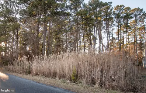 lot429 Captains Corridor Corridor, Greenbackville, VA 23356
