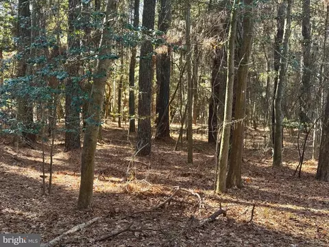 lot831 Castaway Dr, Greenbackville, VA 23356