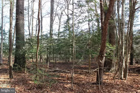 151 Shanghai Rd, Greenbackville, VA 23356