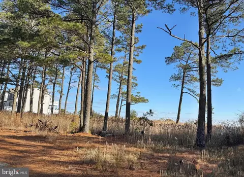 lot720 Castaway Dr, Greenbackville, VA 23356