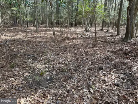 31379 Boggs Rd, Painter, VA 23420 photo 6