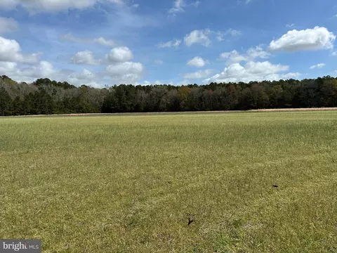 31379 Boggs Rd, Painter, VA 23420 photo 34