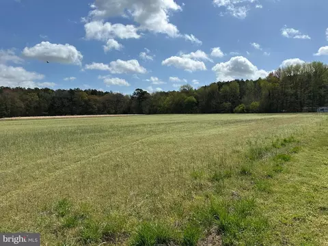 31379 Boggs Rd, Painter, VA 23420 photo 33