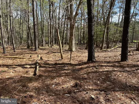 31379 Boggs Rd, Painter, VA 23420 photo 12