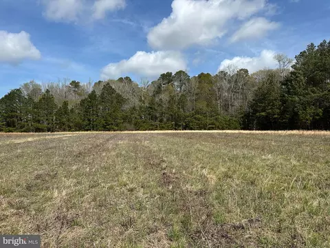 31379 Boggs Rd, Painter, VA 23420 photo 23