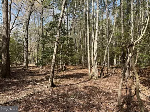 31379 Boggs Rd, Painter, VA 23420 photo 15