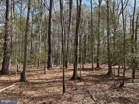31379 Boggs Rd, Painter, VA 23420 photo 10