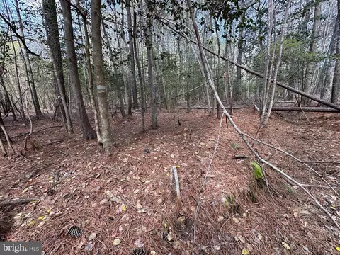 31379 Boggs Rd, Painter, VA 23420 photo 14
