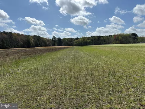 31379 Boggs Rd, Painter, VA 23420 photo 27