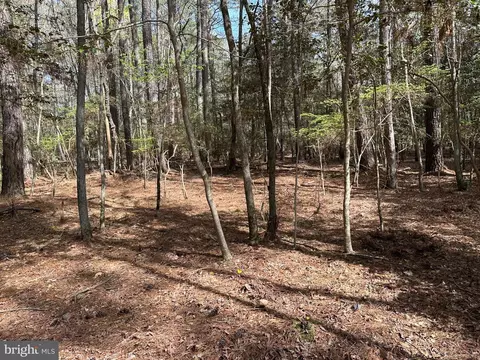 31379 Boggs Rd, Painter, VA 23420 photo 7