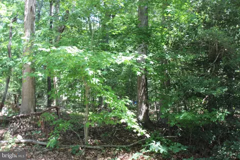 112 Custom Dr, Greenbackville, VA 23356