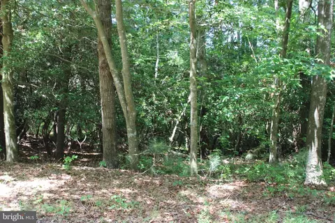1950 Buccaneer Blvd, Greenbackville, VA 23356