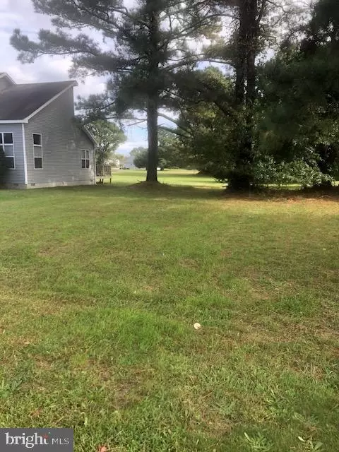 261 Pike Dr, Greenbackville, VA 23356
