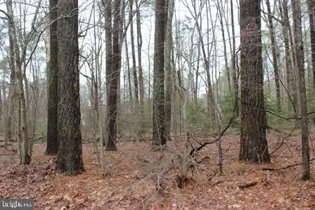 2104 Buccaneer Blvd, Greenbackville, VA 23356