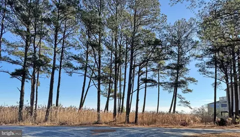 lot718 Castaway Dr, Greenbackville, VA 23356