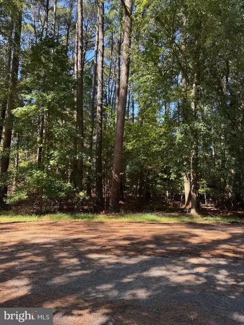 lot485 Dry Dock Ct, Greenbackville, VA 23356