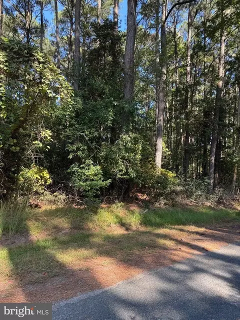 lot870 Broadside Dr, Greenbackville, VA 23356