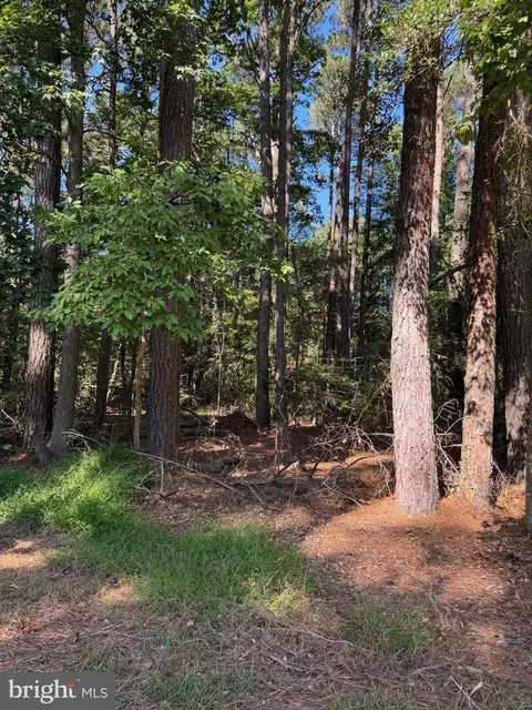 lot871 Broadside Dr, Greenbackville, VA 23356