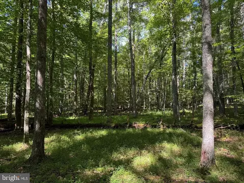0 Blue Ridge Ln, Monroe, VA 24574 photo 33