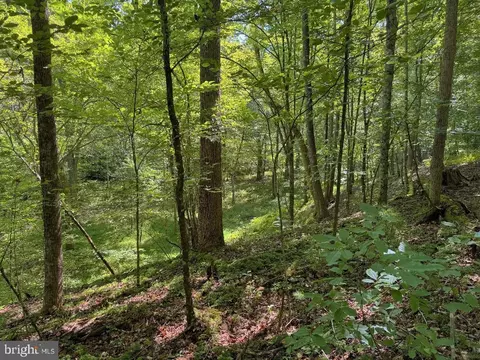 0 Blue Ridge Ln, Monroe, VA 24574 photo 24