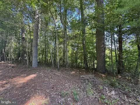 0 Blue Ridge Ln, Monroe, VA 24574 photo 15