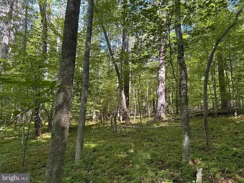 0 Blue Ridge Ln, Monroe, VA 24574 photo 32