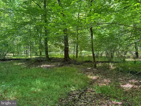 0 Blue Ridge Ln, Monroe, VA 24574 photo 28
