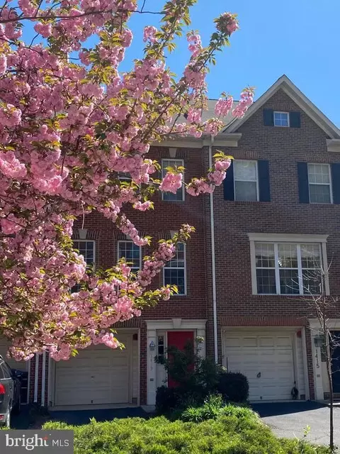 1419 N Scott St, Arlington, VA 22209