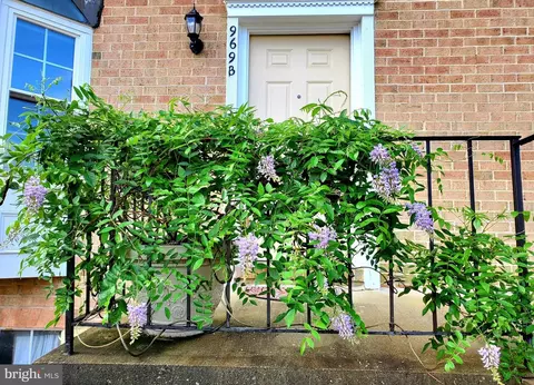 969 S Rolfe St #2, Arlington, VA 22204