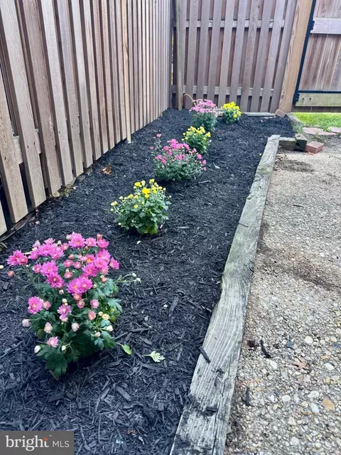 Exterior - 4800 30th St S, Arlington, VA 22206 photo 5 of 7