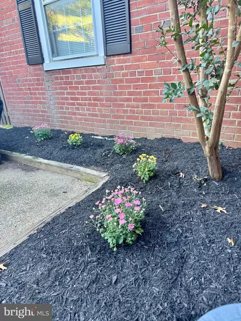 Exterior - 4800 30th St S, Arlington, VA 22206 photo 3 of 7