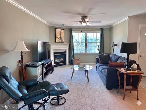 6924 Fairfax Dr #330, Arlington, VA 22213