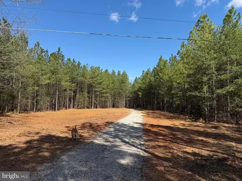 lot A Mountain Cut Rd, Appomattox, VA 24522