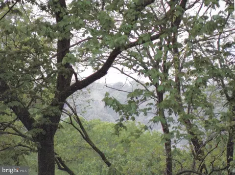 1101 Finley Ln, Alexandria, VA 22304