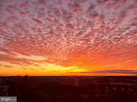 203 Yoakum Pkwy #1122, Alexandria, VA 22304
