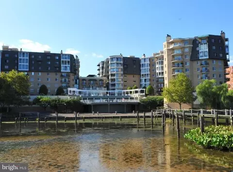 1250 S Washington St S #824, Alexandria, VA 22314