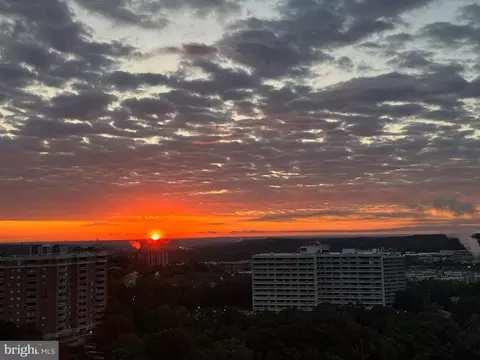 203 Yoakum Pkwy #1826, Alexandria, VA 22304