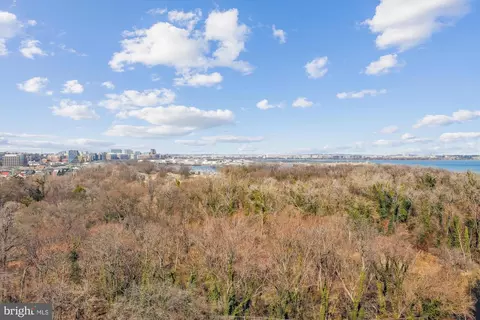 501 Slaters Ln #1115, Alexandria, VA 22314