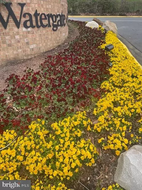 307 Yoakum Pkwy #1801, Alexandria, VA 22304