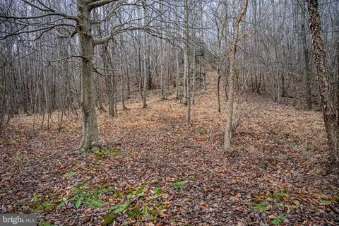 tbd Troublesome Creek Rd, Buckingham, VA 23921 photo 13