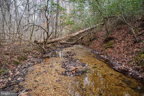 tbd Troublesome Creek Rd, Buckingham, VA 23921 photo 7