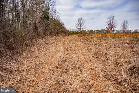 tbd Troublesome Creek Rd, Buckingham, VA 23921 photo 15