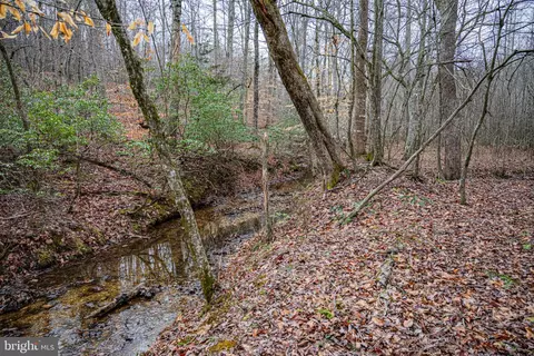 tbd Troublesome Creek Rd, Buckingham, VA 23921 photo 8