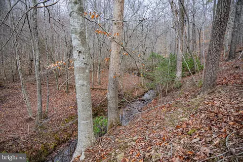 tbd Troublesome Creek Rd, Buckingham, VA 23921 photo 11