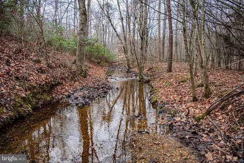 tbd Troublesome Creek Rd, Buckingham, VA 23921 photo 6