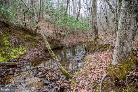 tbd Troublesome Creek Rd, Buckingham, VA 23921 photo 9