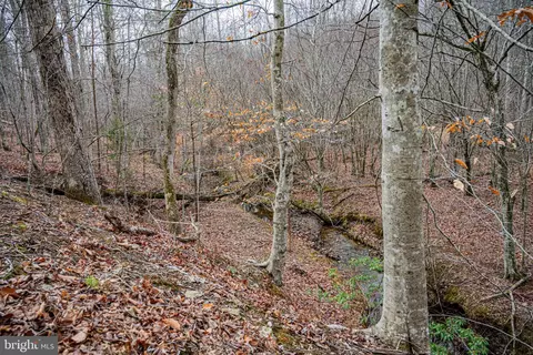 tbd Troublesome Creek Rd, Buckingham, VA 23921 photo 10
