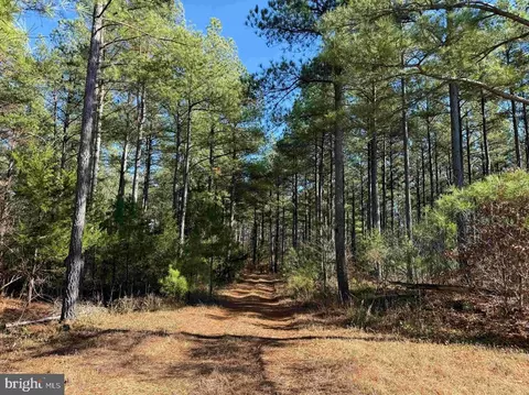 Off Of Diana Mill Road (tract: Tanager Et2 2023, Arvonia, VA 23004