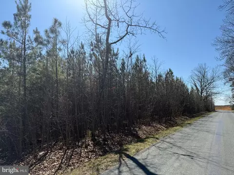 3 Maple Bridge Rd # A, Dillwyn, VA 23936 photo 11